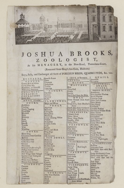 Zoolog, Joshua Brooks, karta handlowa autorstwa English School