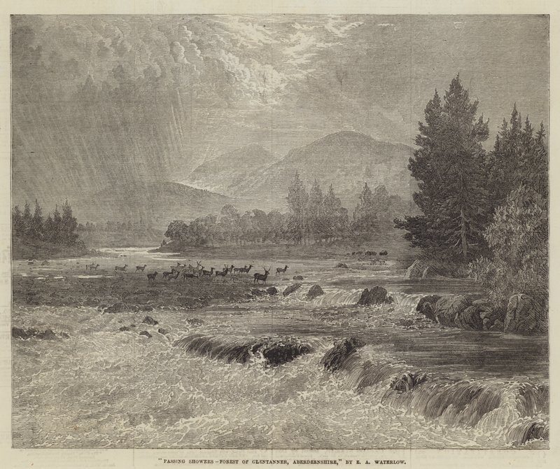 Przelotne prysznice, Las Glentanner, Aberdeenshire autorstwa Ernest Albert Waterlow