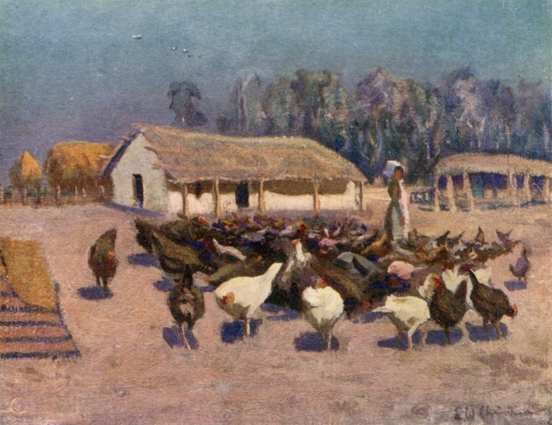 Letni dzień na farmie kurczaków autorstwa Ernest William Christmas