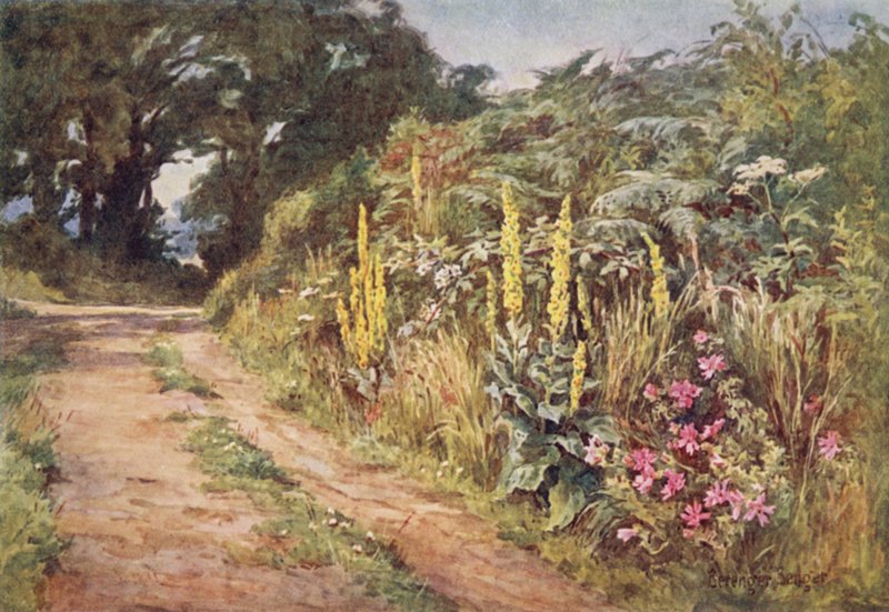 Serce żywopłotu autorstwa Ernest Benger or Berenger