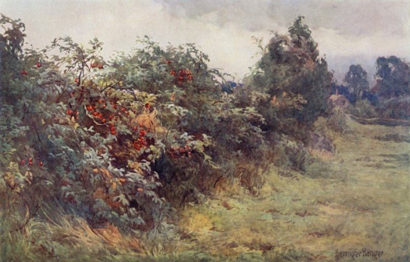 Objawienie dojrzałości autorstwa Ernest Benger or Berenger