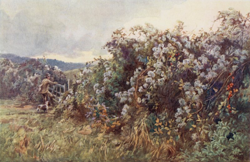 Podróżnicy” Radość autorstwa Ernest Benger or Berenger