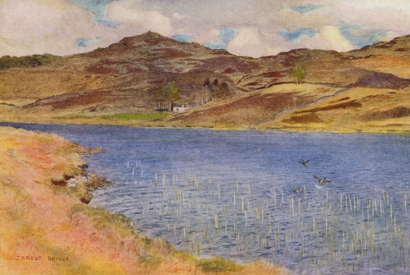 Loch Howie lub Wee (kolorowa litografia) autorstwa Ernest Edward Briggs