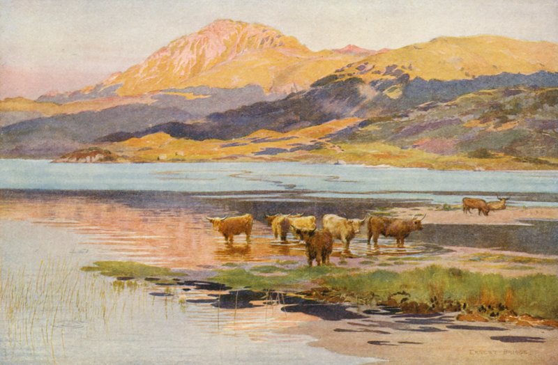 Głowa Loch Quoich, wieczór (kolorowa litografia) autorstwa Ernest Edward Briggs