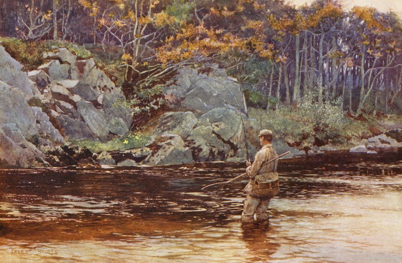 Łowienie pstrągów w Galloway (kolorowa litografia) autorstwa Ernest Edward Briggs