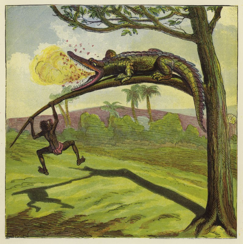 Krokodyl autorstwa Ernest Henry Griset