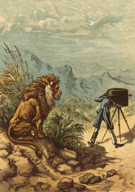 Obiecujące perspektywy, lew obserwuje fotografa (chromolitho) autorstwa Ernest Henry Griset