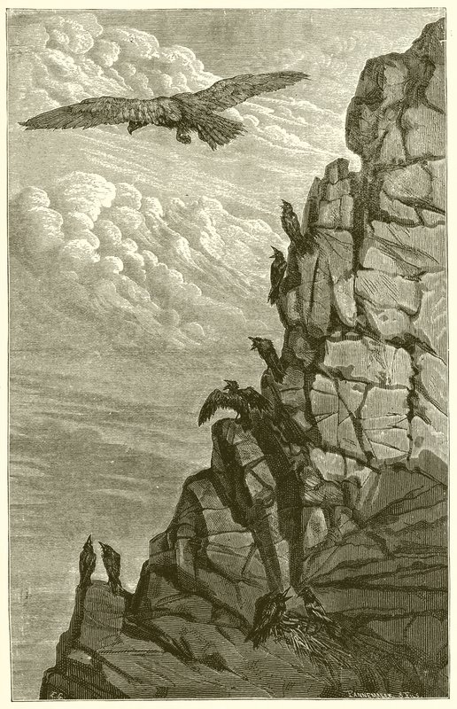 Orzeł i wrona autorstwa Ernest Henry Griset