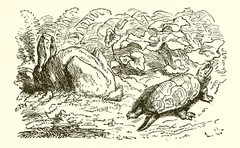 Zając i żółw autorstwa Ernest Henry Griset