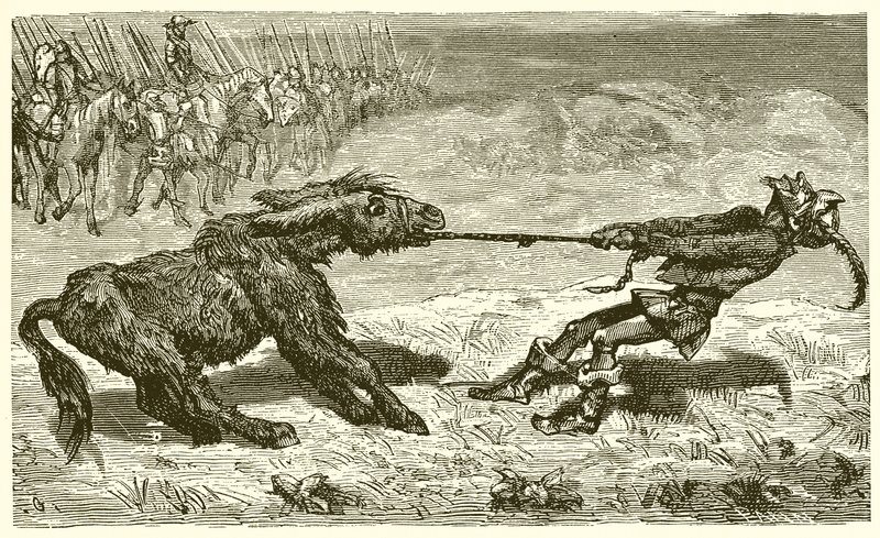 Rozsądny tyłek autorstwa Ernest Henry Griset