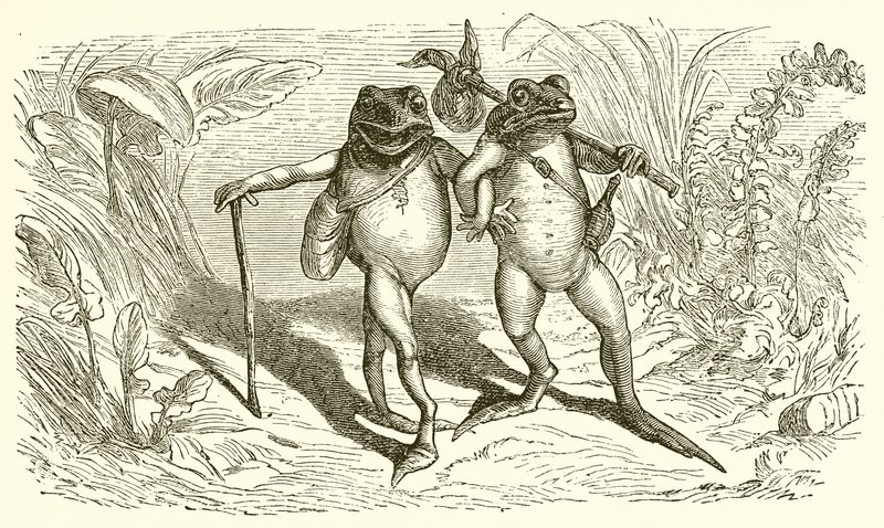 Dwie żaby autorstwa Ernest Henry Griset