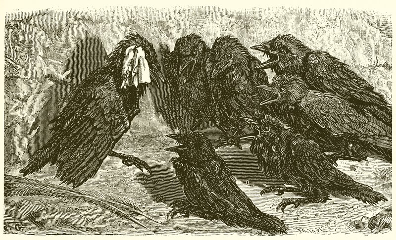 Próżna Kawka autorstwa Ernest Henry Griset