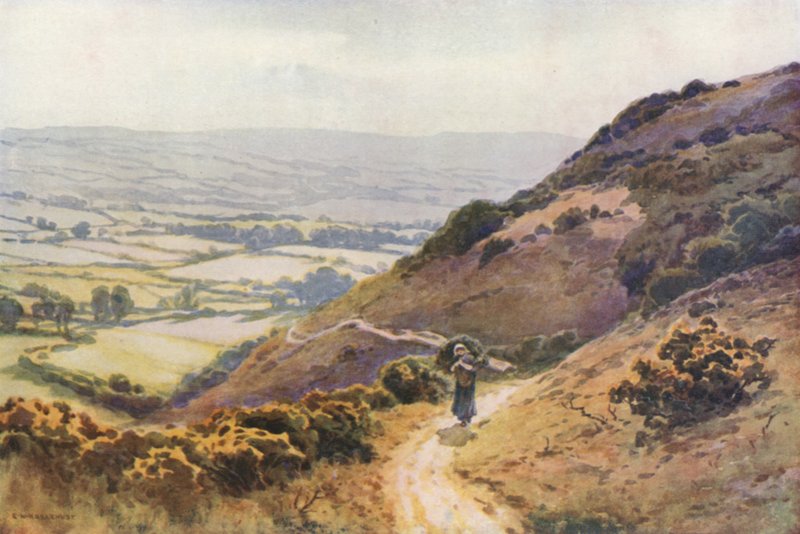 Ballard Down, Swanage (członkowie kolorowi) autorstwa Ernest William Haslehust