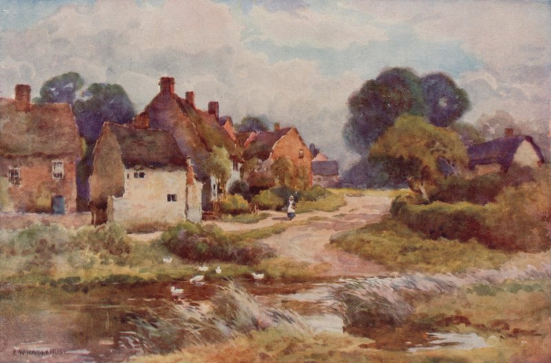 „Żebracka miotła” (kolor lito) autorstwa Ernest William Haslehust