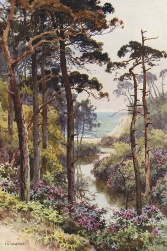 Branksome Chine, Bournemouth (kolor lito) autorstwa Ernest William Haslehust