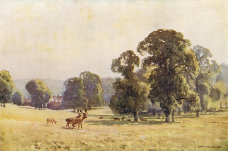Cobham Park (kolor lito) autorstwa Ernest William Haslehust