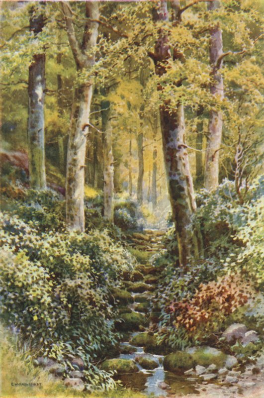 Fairlight Glen (kolor lito) autorstwa Ernest William Haslehust