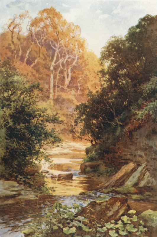 Hayburn Wyke (kolor lito) autorstwa Ernest William Haslehust