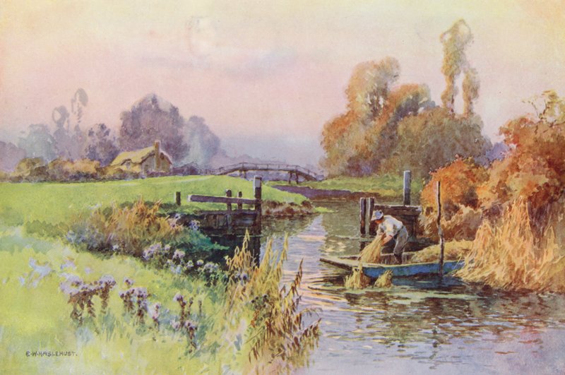 Tamiza: Backwater to the Wey (kolorowa litografia) autorstwa Ernest William Haslehust
