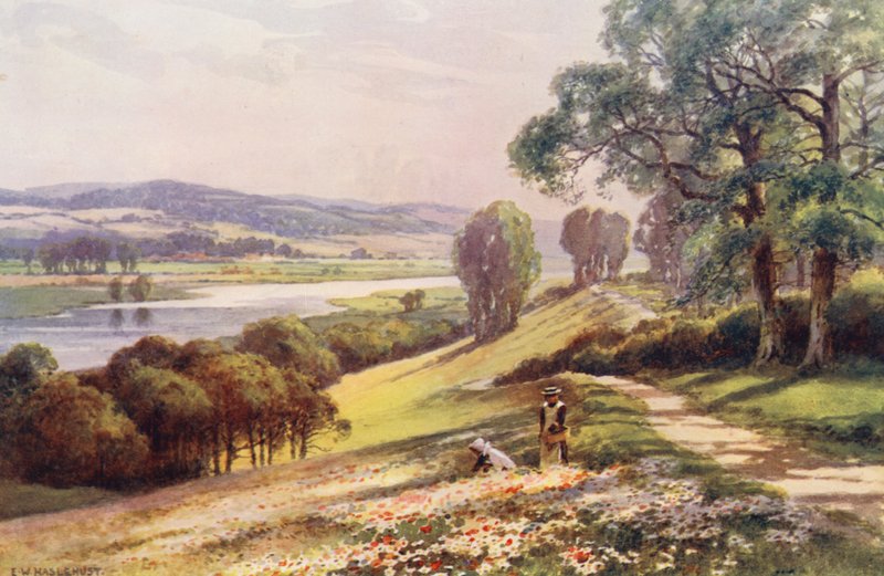 Tamiza: Bourne End z Quarry Hill (kolorowa litografia) autorstwa Ernest William Haslehust