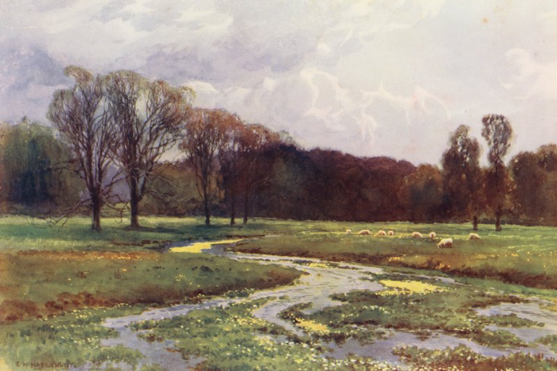 Tamiza: Thames Head (kolorowa litografia) autorstwa Ernest William Haslehust