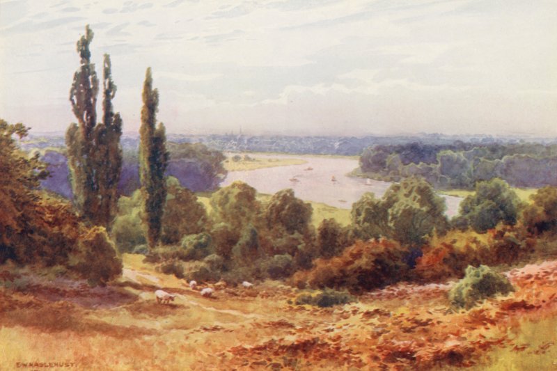 Tamiza: Tamiza z Richmond Hill (kolorowa litografia) autorstwa Ernest William Haslehust