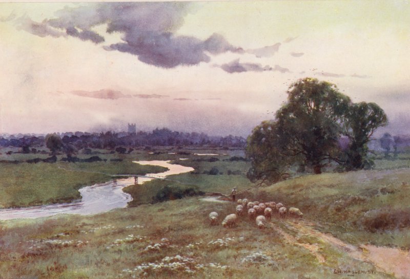 Tamiza: Widok z Eisey Hill (kolorowa litografia) autorstwa Ernest William Haslehust