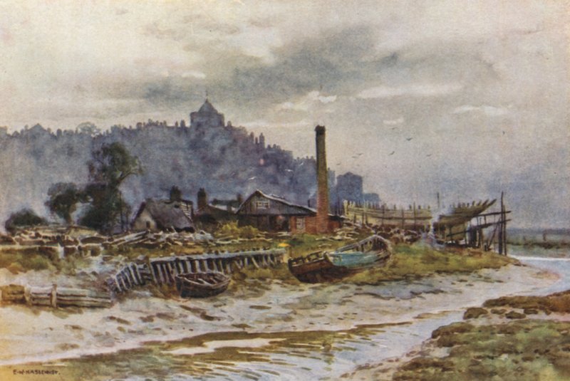 Żyto (kolor lito) autorstwa Ernest William Haslehust