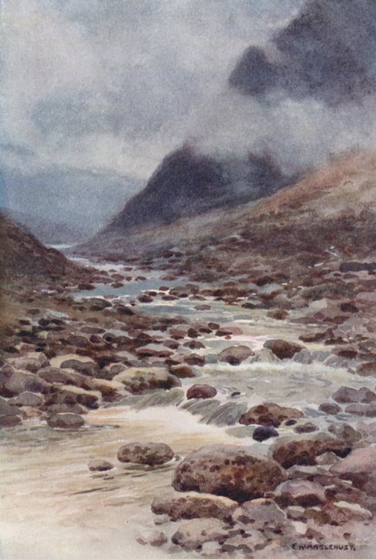 Fat Cleave (kolor litowo) autorstwa Ernest William Haslehust