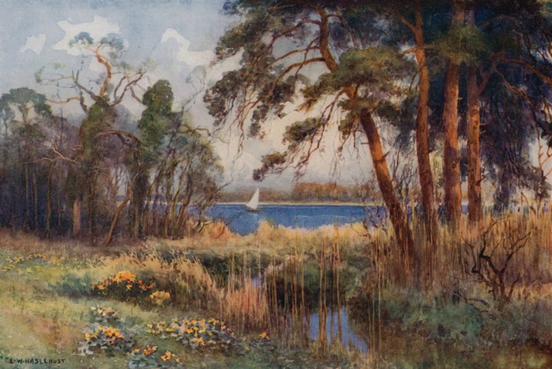 Wroxham Broad, wczesna wiosna (kolor lito) autorstwa Ernest William Haslehust