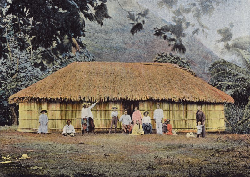 chata tahitańska autorstwa European Photographer