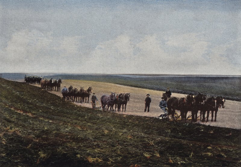 Orka na preriach Manitoba autorstwa European Photographer
