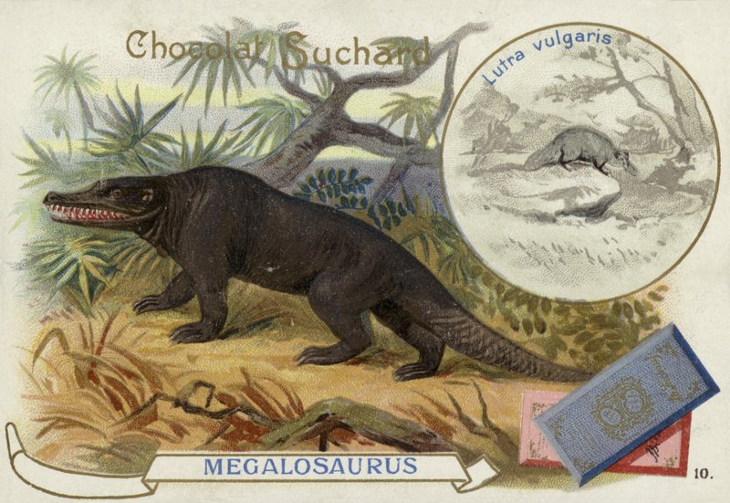 Megalozaur i wydra autorstwa European School