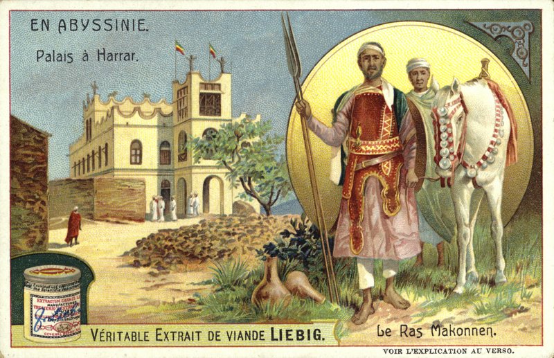 Pałac w Harar i Ras Makonnen, Etiopia autorstwa European School