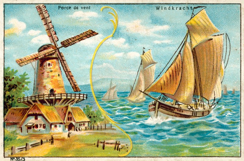Moc wiatru autorstwa European School