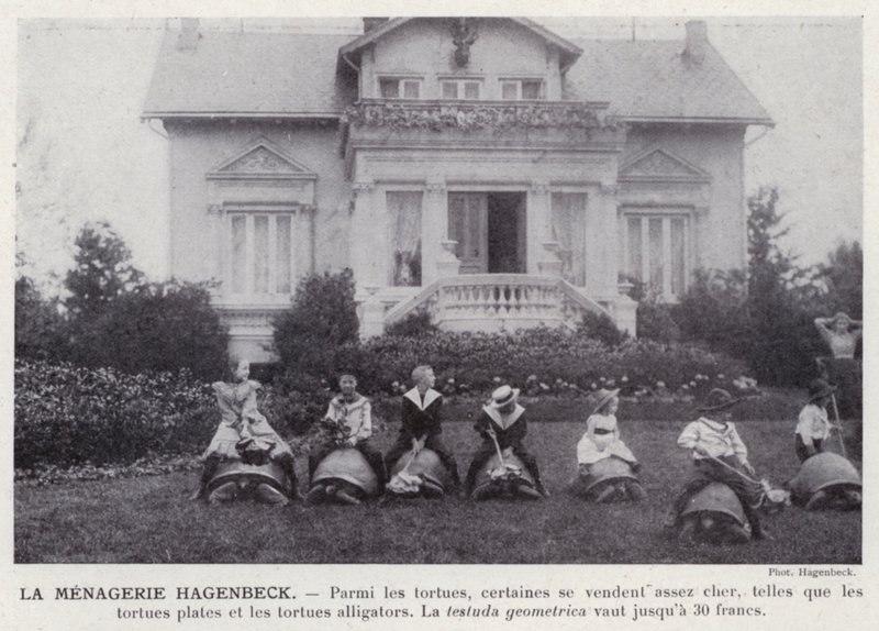 La Menagerie Hagenbeck (zdjęcie czarno-białe) autorstwa European Photographer