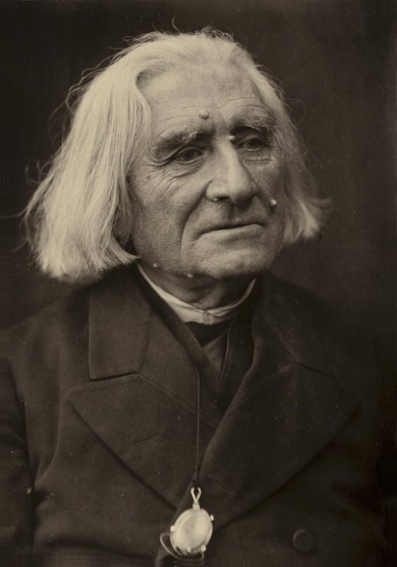 Portret Franciszka Liszta autorstwa European Photographer