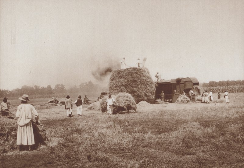 Młócenie pszenicy w Alfold, równiny Węgier (zdjęcie czarno-białe) autorstwa European Photographer