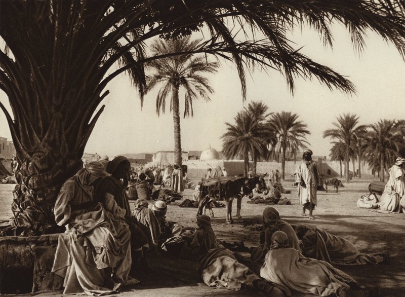 Oaza Touggourt (zdjęcie czarno-białe) autorstwa European Photographer