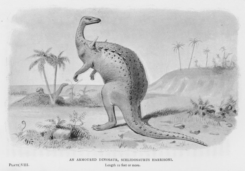 Dinozaur w zbroi, Scelidosaurus Harrisoni (lito) autorstwa European School