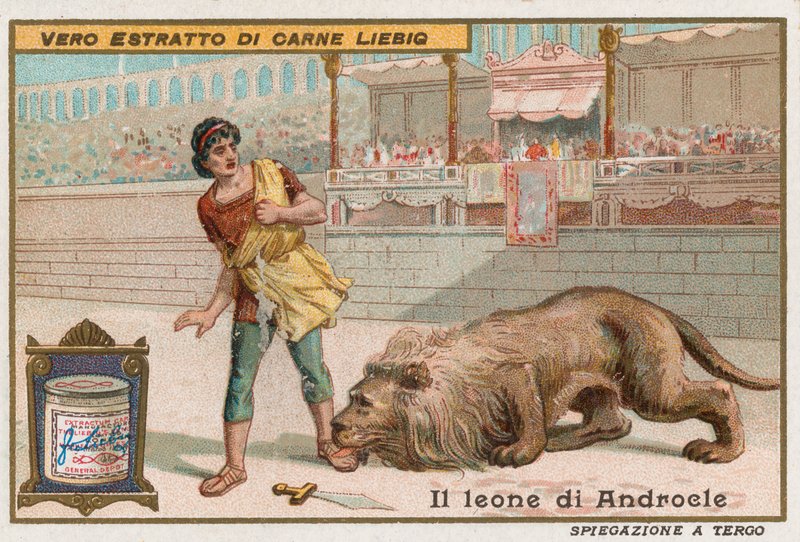 Androkles i lew autorstwa European School