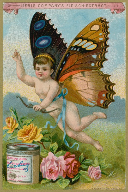 Aniołek Motyl z Różami autorstwa European School