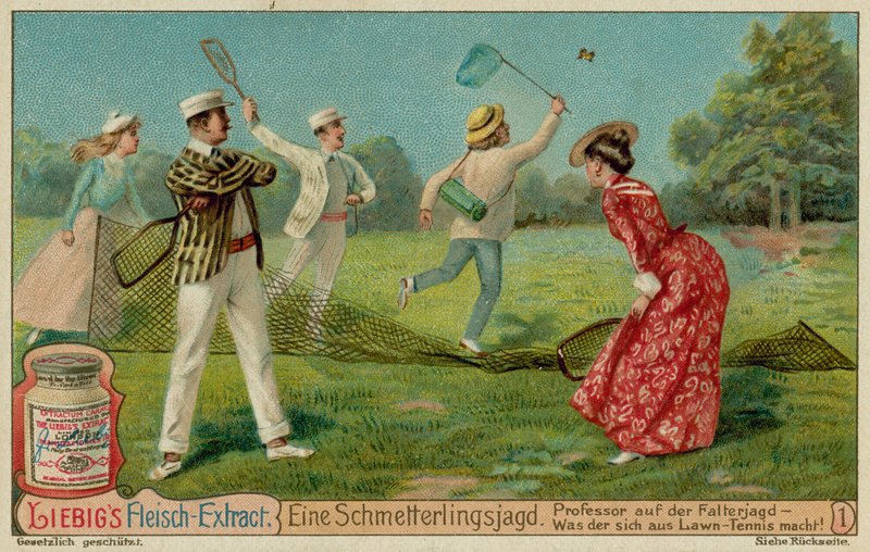 Polowanie na motyle i tenis na trawniku autorstwa European School