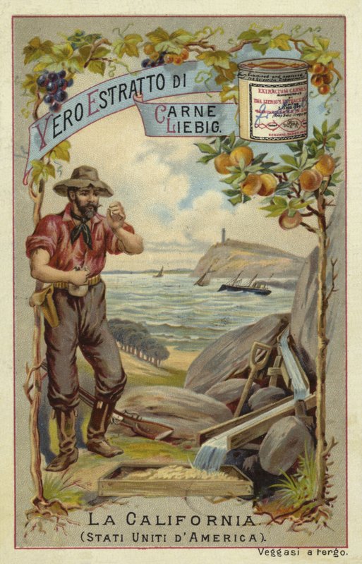 Kalifornia autorstwa European School