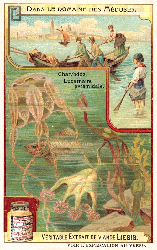 Charybda i piramidalna Lucernia (chromolitho) autorstwa European School