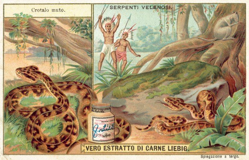 Copperhead (chromolitho) autorstwa European School