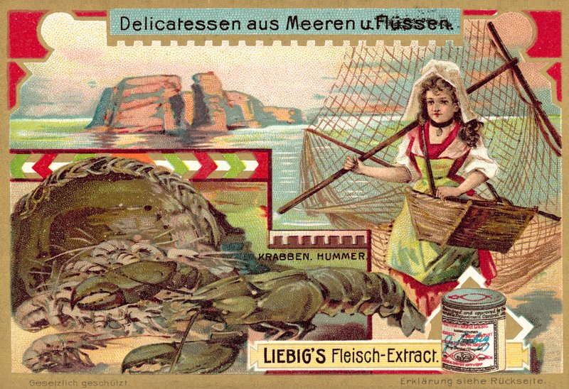Krab i homar (chromolitho) autorstwa European School