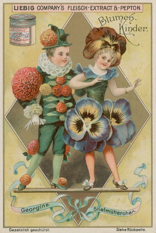 Dalia i Pansy autorstwa European School