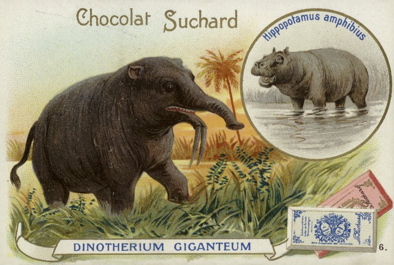 Deinotherium Giganteum i hipopotam autorstwa European School