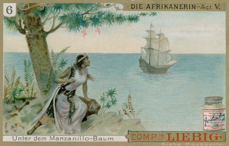 Die Afrikanerin: Akt 5 autorstwa European School